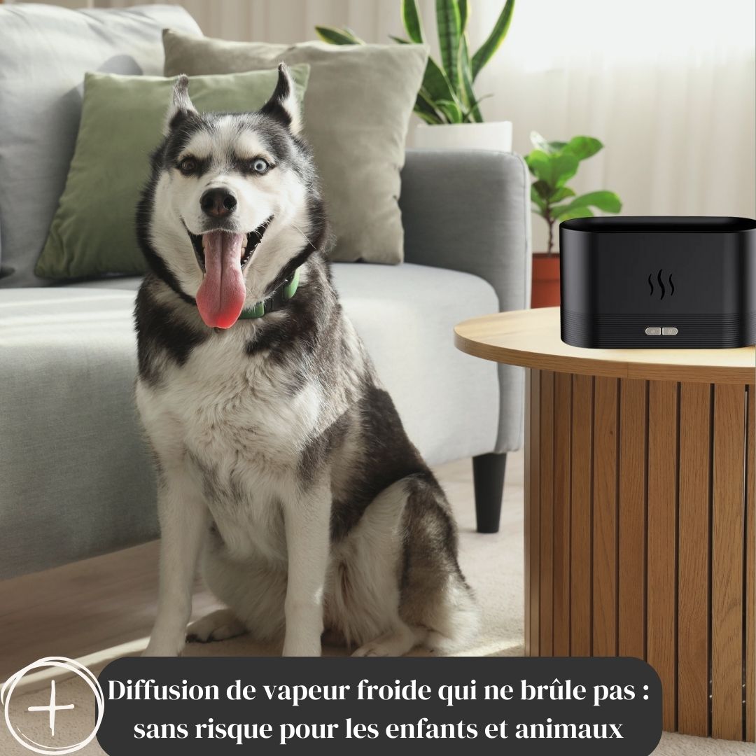 Diffuseur d'huiles essentielles & Humidificateur d'air